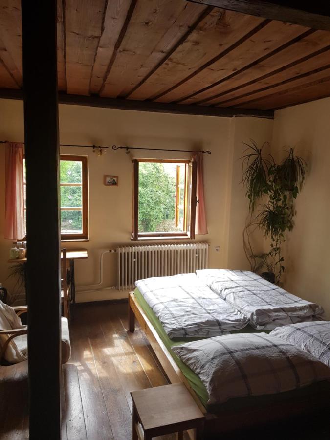 Hostelskippy Cesky Krumlov Bagian luar foto